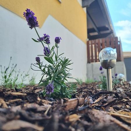 Ferienwohnung Noah Merseburg Dış mekan fotoğraf